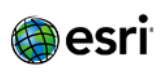 esri_logo